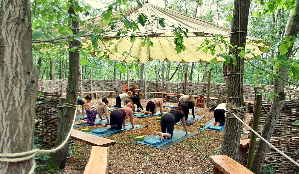 Woodland Yoga
